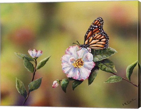 Framed Monarch With Camellia Print