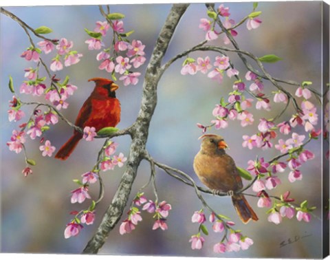 Framed Spring Cardinals Print