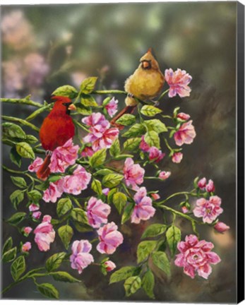 Framed Cardinals with Roses Print