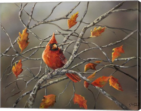 Framed Fall Cardinal Print