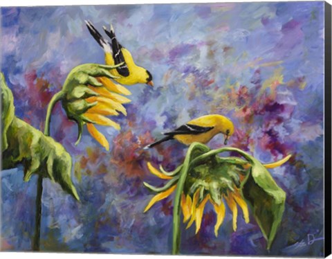 Framed Finches with Sunflowers Print