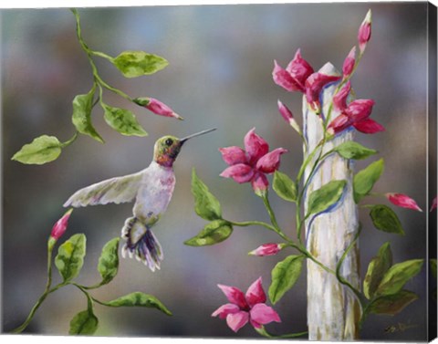 Framed Hummingbird with Flowers Print