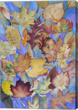 Framed Autumn Leaves V Print