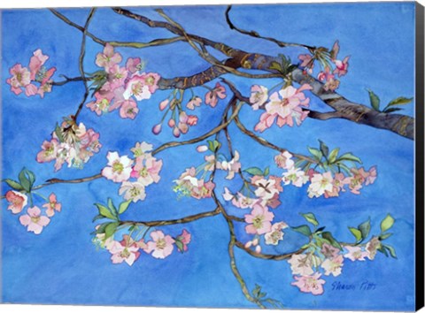 Framed Cherry Blossoms Print