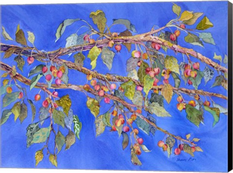 Framed Crab Apple III Print