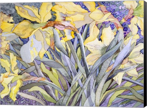 Framed Daffodils, Van Vleck Print