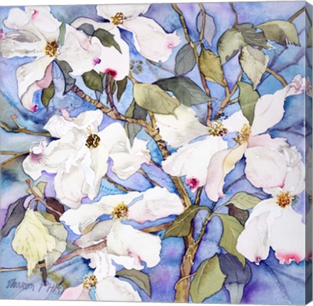Framed Dogwoods, White Print