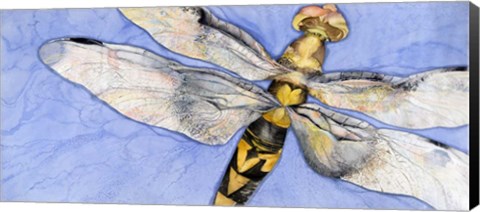 Framed Dragonfly Print