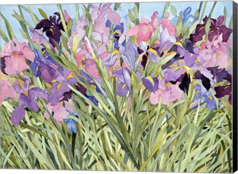 Framed Iris Garden X Print