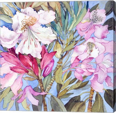 Framed Rhododendron I Print