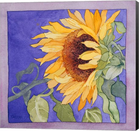 Framed Sunflower I Print