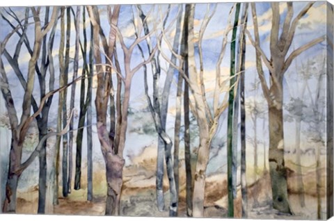 Framed Through The Trees Print