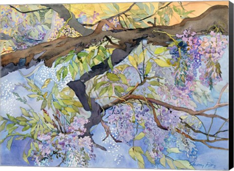 Framed Wisteria, Van Vleck Print