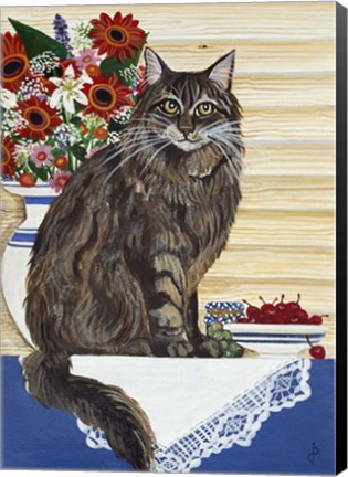 Framed Maine Coon Cat Print