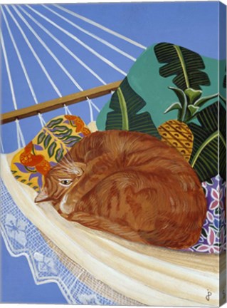Framed Catnapping In A Hammock Print