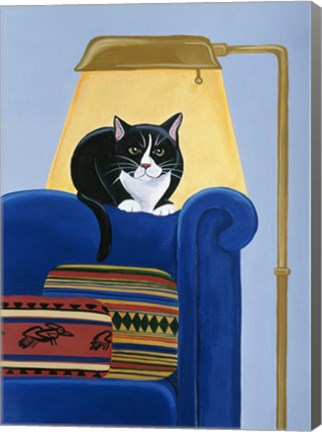 Framed Catmandu Keeping Warm Print