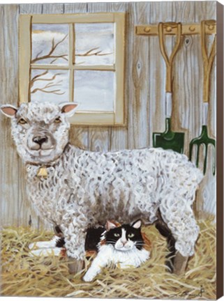 Framed Sheep And Cat Print