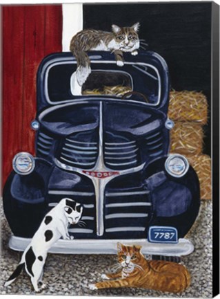 Framed Ranch Cats Print