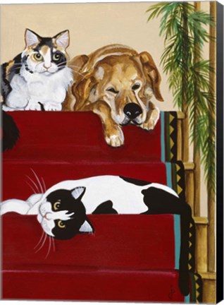 Framed Lazy Naps Print