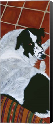 Framed Willy And His Big Brown Eyes Print