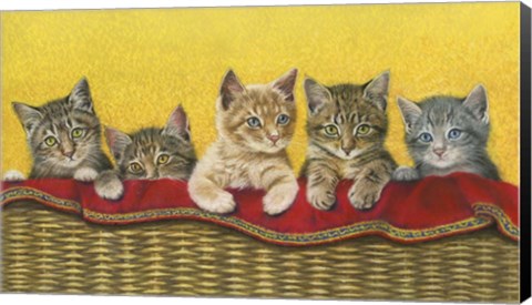 Framed Five Kittens In Basket Print
