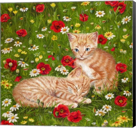 Framed Ginger Kittens In Red Poppies Print