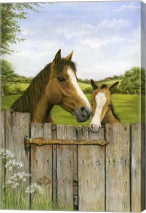 Framed Mother And Foal Print