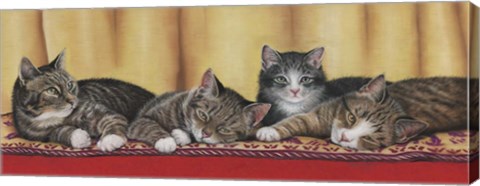 Framed Relaxing Tabbies Print