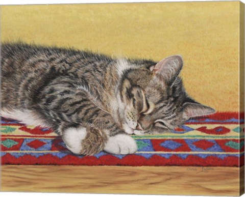 Framed Sleepy Sam Print