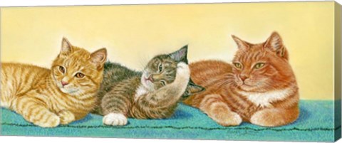 Framed Tabbies Print