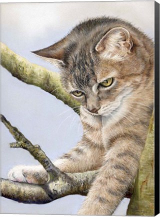 Framed Tabby In Tree Print