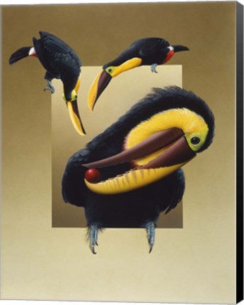 Framed Chestnut-Mandibled Toucans Print