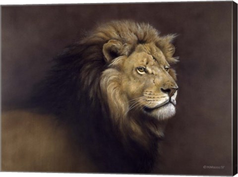 Framed Lion Male Print