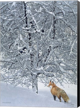 Framed Fox In Snow Print