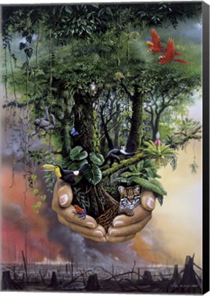 Framed Save The Rainforest Print