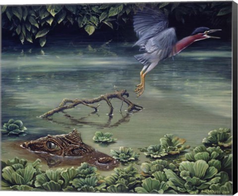Framed Caiman And Green-Backed Heron Print