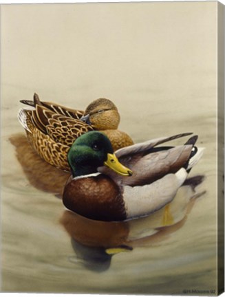 Framed Mallard Print