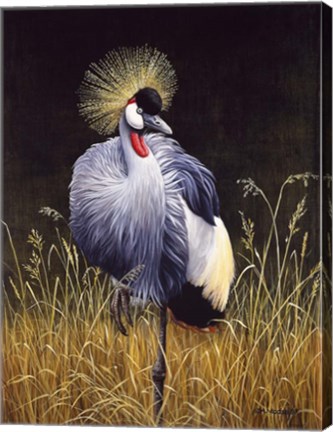 Framed Crowned Crane Print