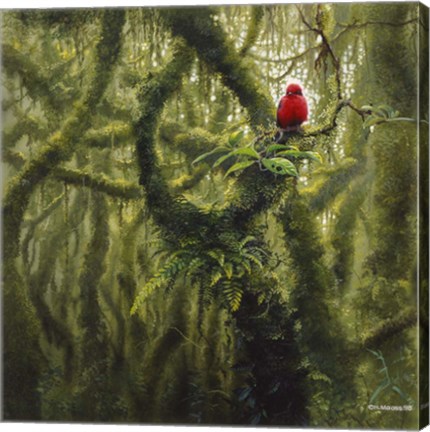 Framed Vermilion Flycatcher Print