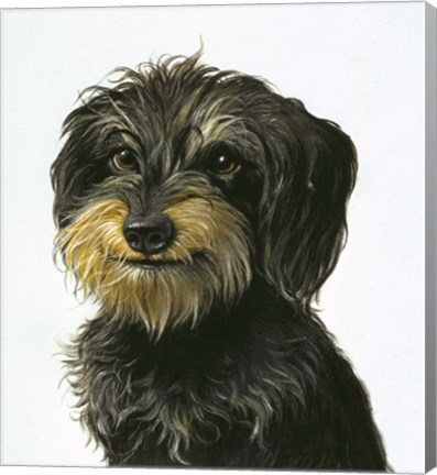 Framed Dog Print