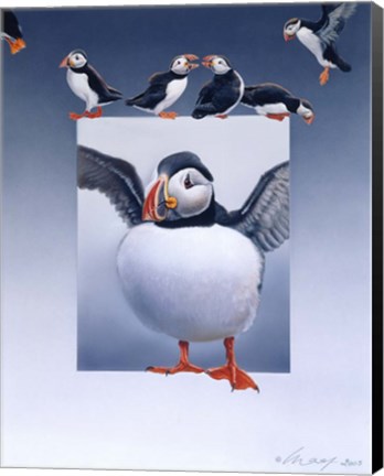 Framed Puffins Print