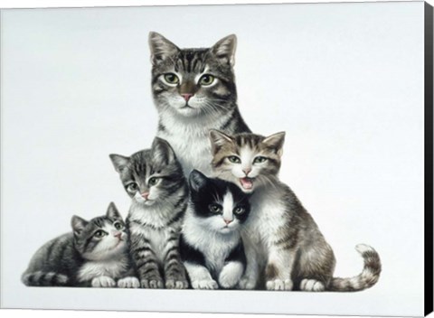 Framed Cat Family Print