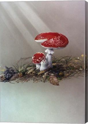 Framed Mushrooms Print