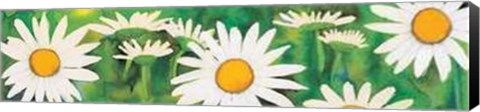 Framed Campo di Margherite Print