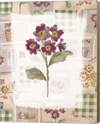 Framed Purple Flower 2 Print