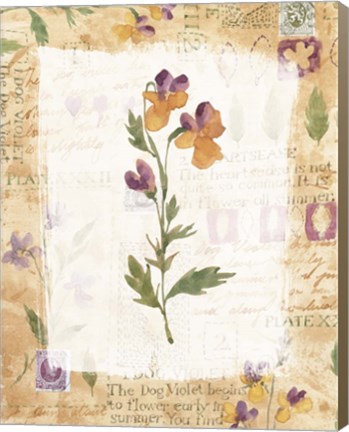 Framed Dog Violet Print