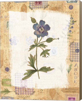 Framed Blue Flower Print