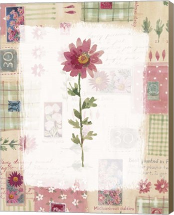 Framed Michaelmas Daisy Print