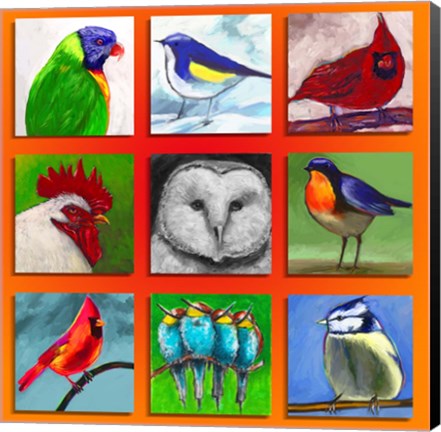 Framed Birds Print