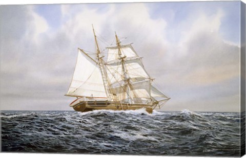 Framed Brigantine Print